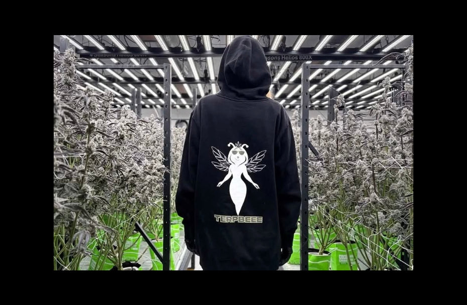 HOODIE White Beee