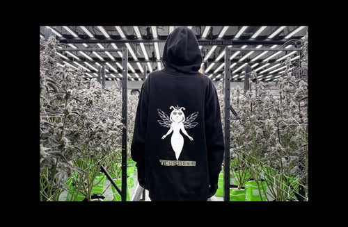 HOODIE White Beee
